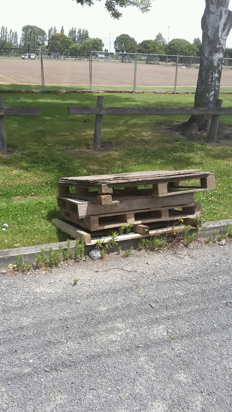 The photograph attached to this parks report
