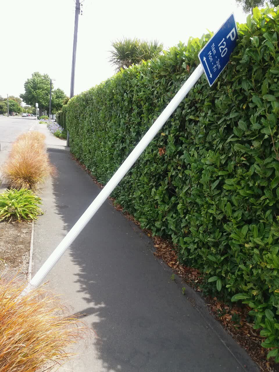 The photograph attached to this roading/streets report