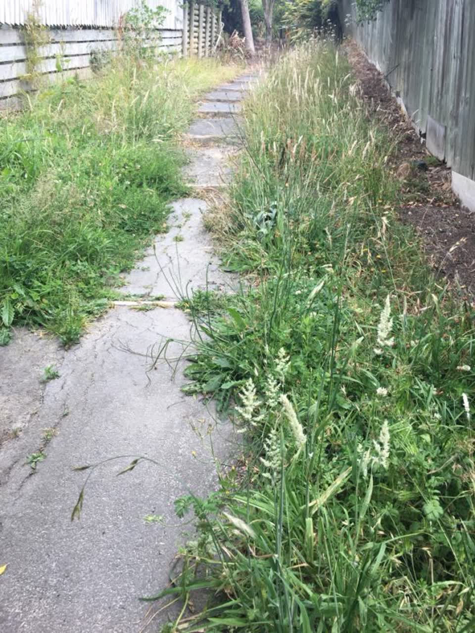 The photograph attached to this parks report