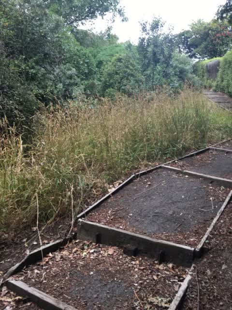 Parks, a report photo