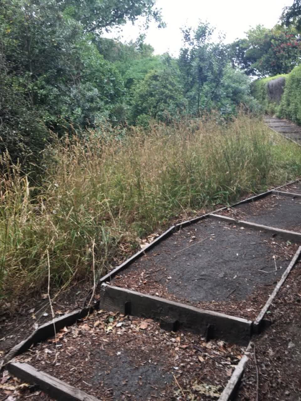 The photograph attached to this parks report