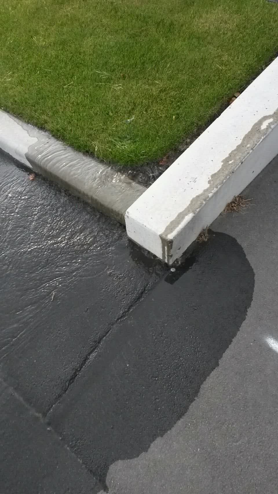 The photograph attached to this water supply report