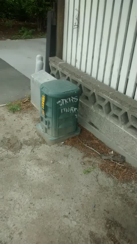 Graffiti, a report photo