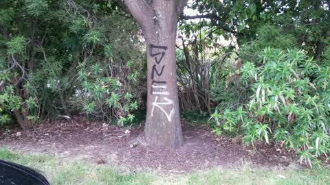Graffiti, a report photo