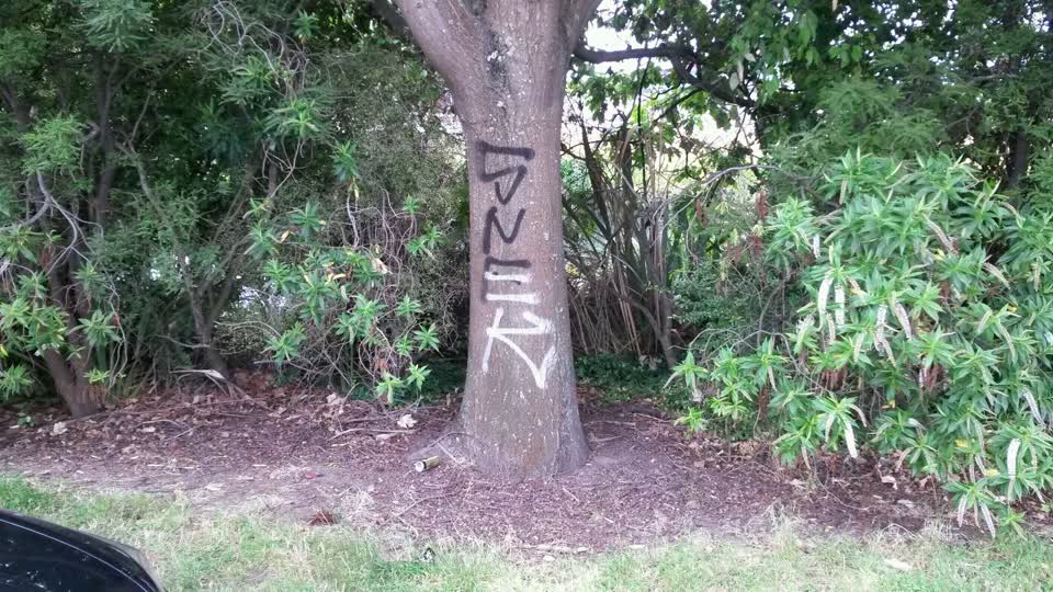 The photograph attached to this graffiti report