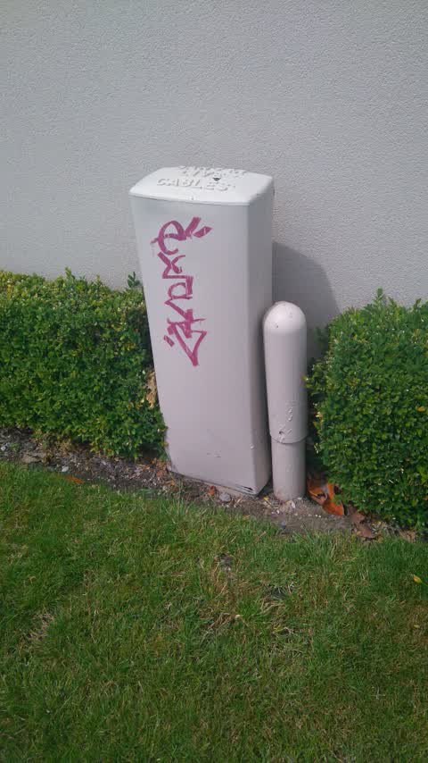 Graffiti, a report photo