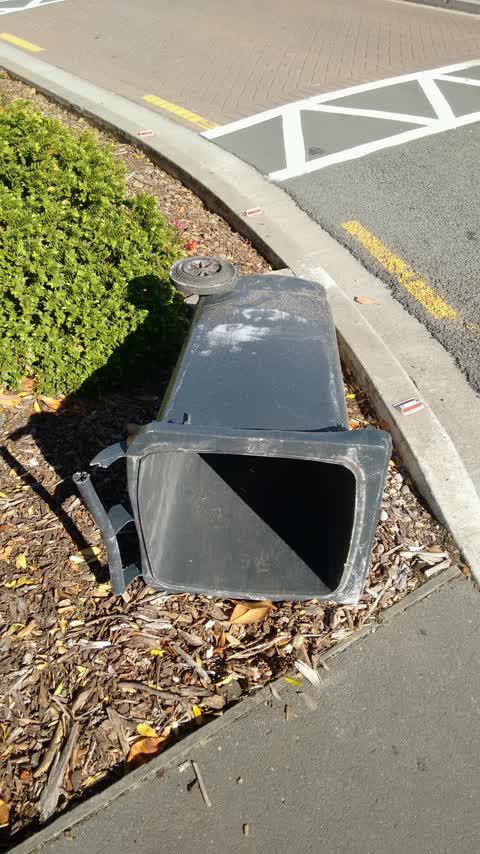 Rubbish/Recycling — a report photo
