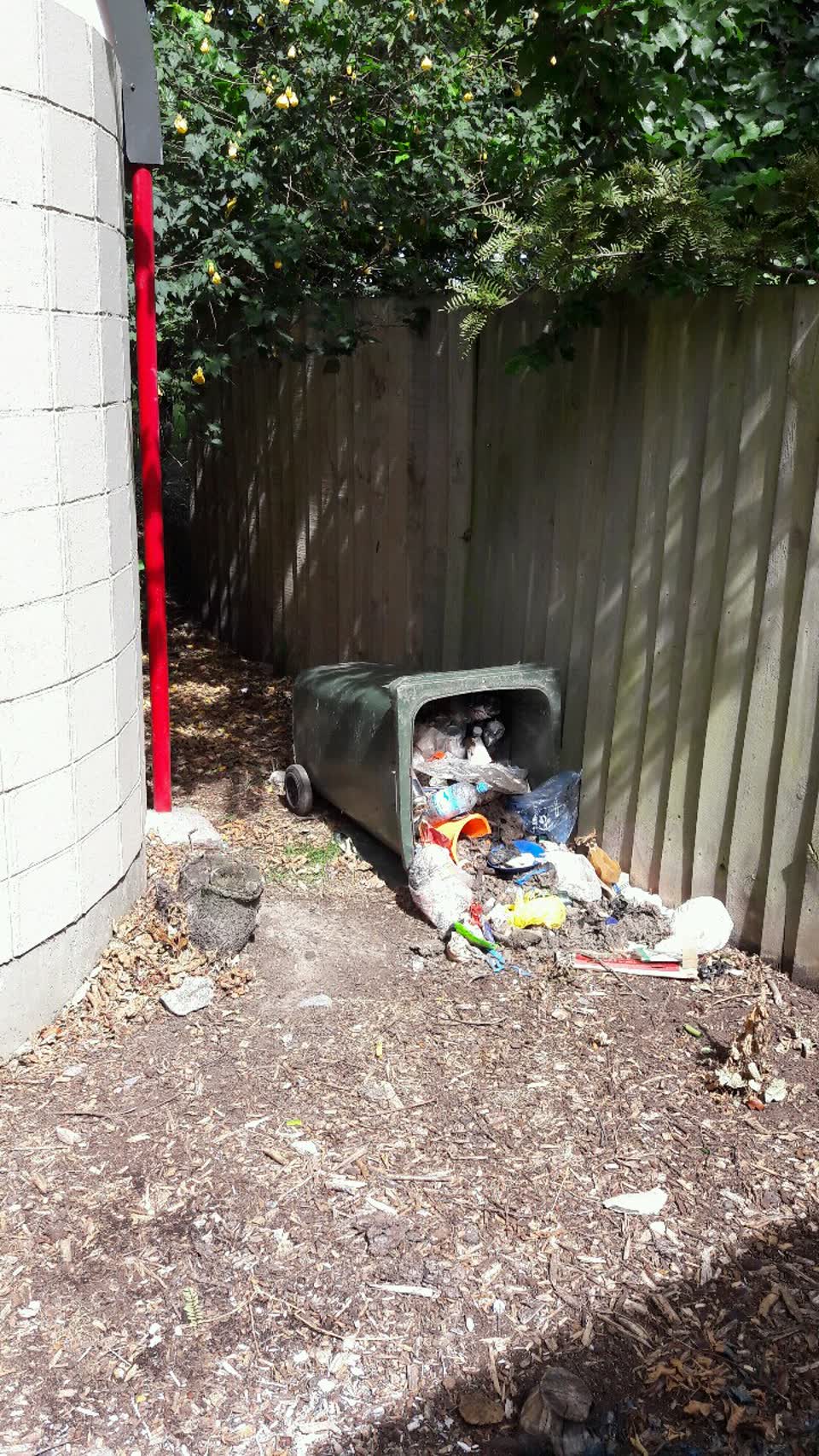 The photograph attached to this parks report