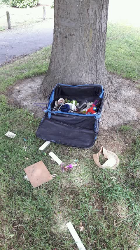 Parks, a report photo