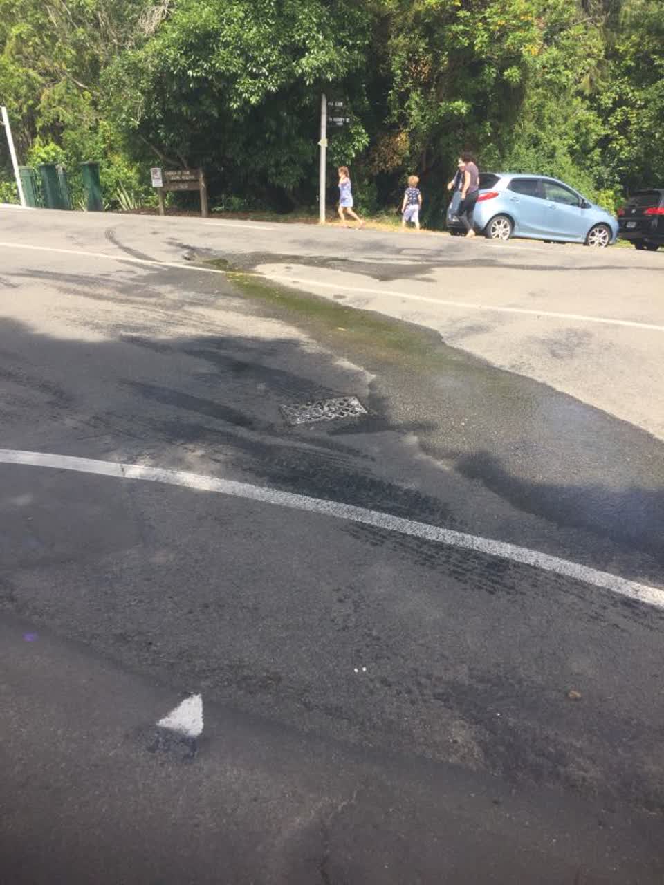 The photograph attached to this water supply report