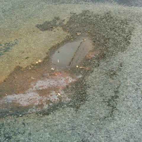 Water Supply, a report photo