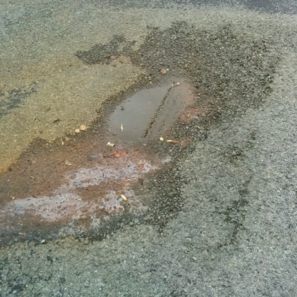 The photograph attached to this water supply report