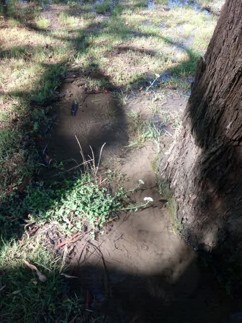 Water Supply, a report photo