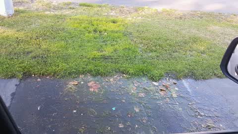 Water Supply, a report photo