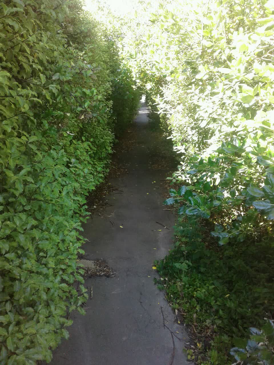 The photograph attached to this parks report