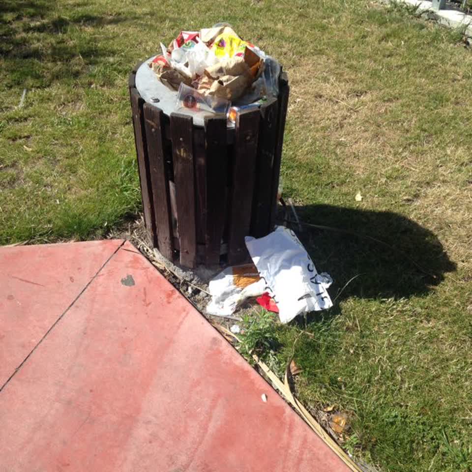 The photograph attached to this rubbish/recycling report