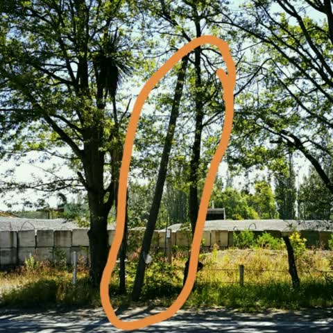 Roading/Streets, a report photo