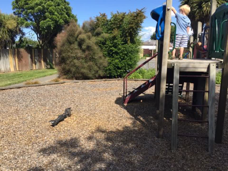 The photograph attached to this parks report