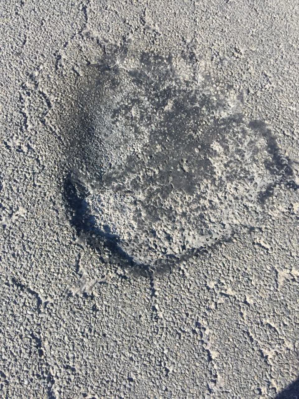 The photograph attached to this roading/streets report