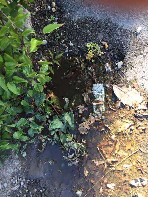 Water Supply, a report photo