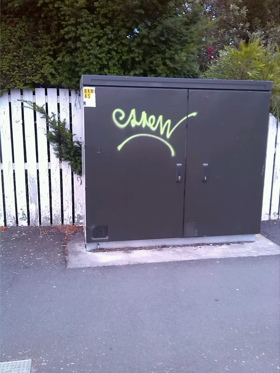 The photograph attached to this graffiti report