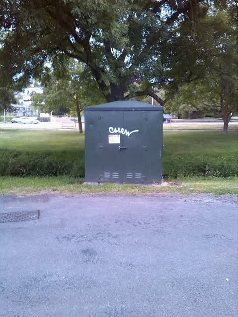 Graffiti, a report photo