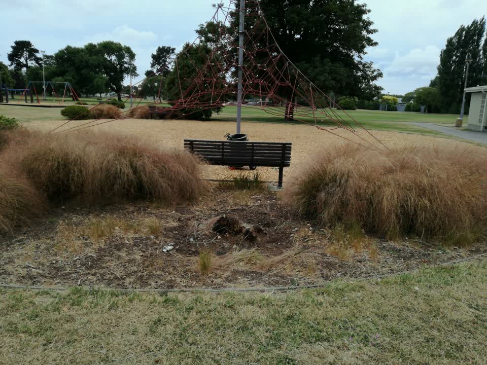 The photograph attached to this parks report