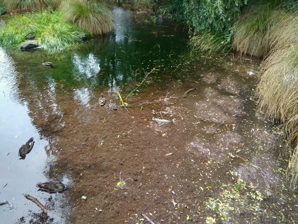 The photograph attached to this parks report