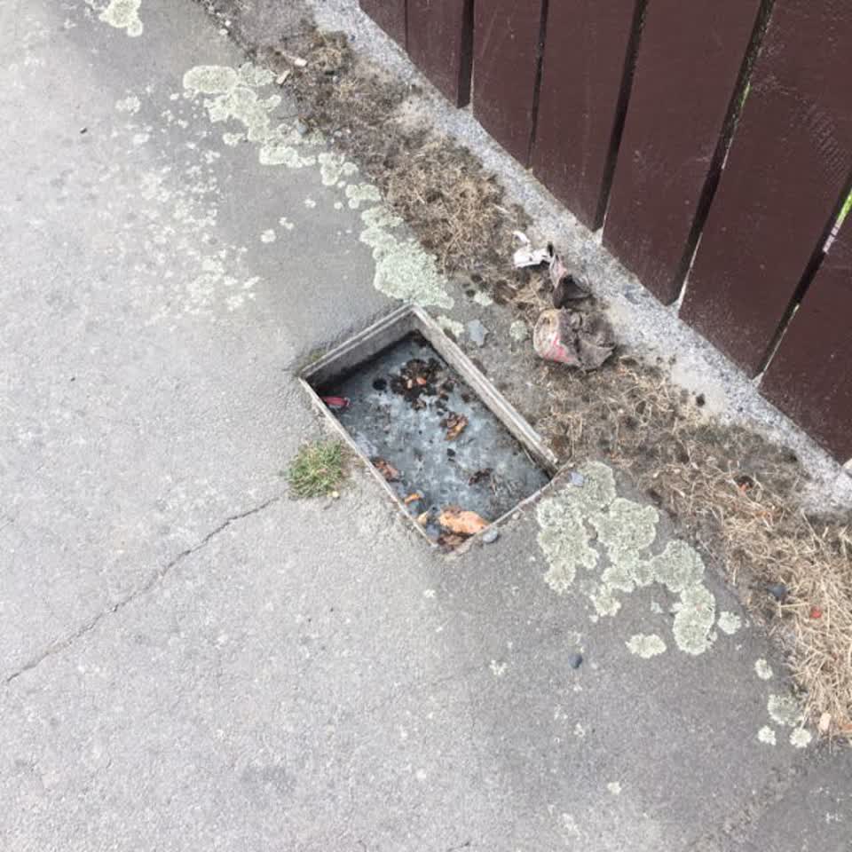 The photograph attached to this water supply report