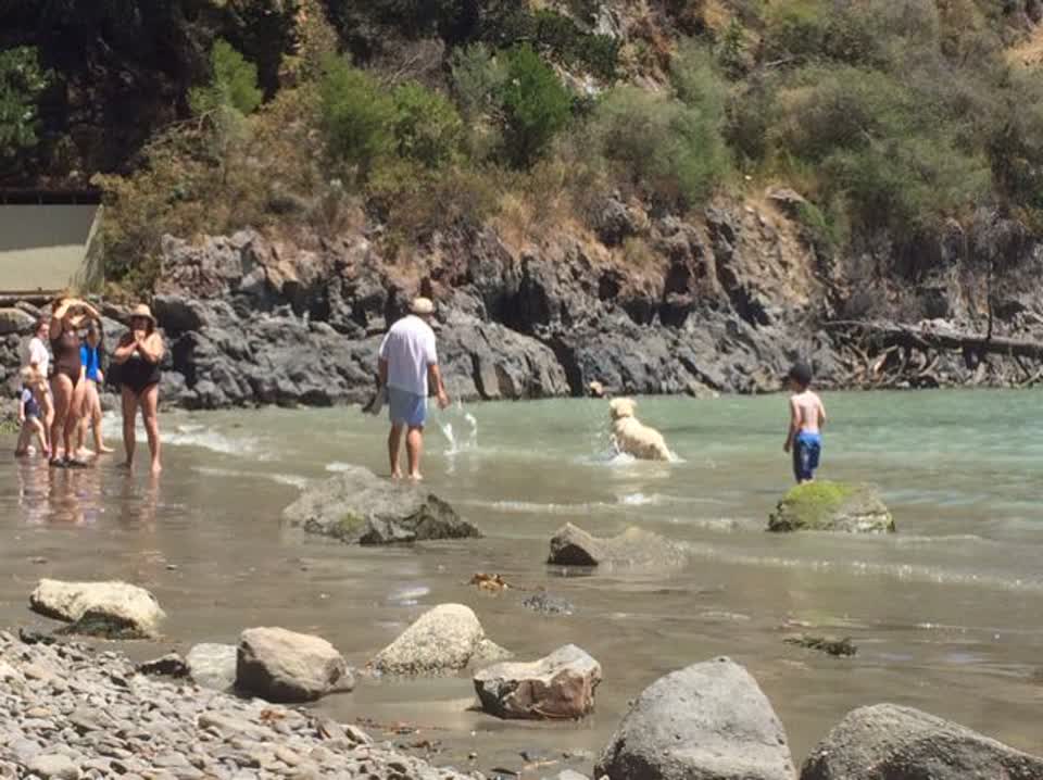 The photograph attached to this parks report
