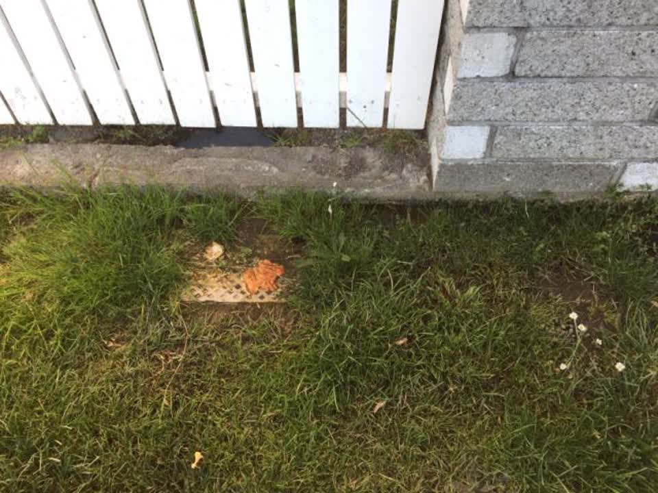 The photograph attached to this water supply report