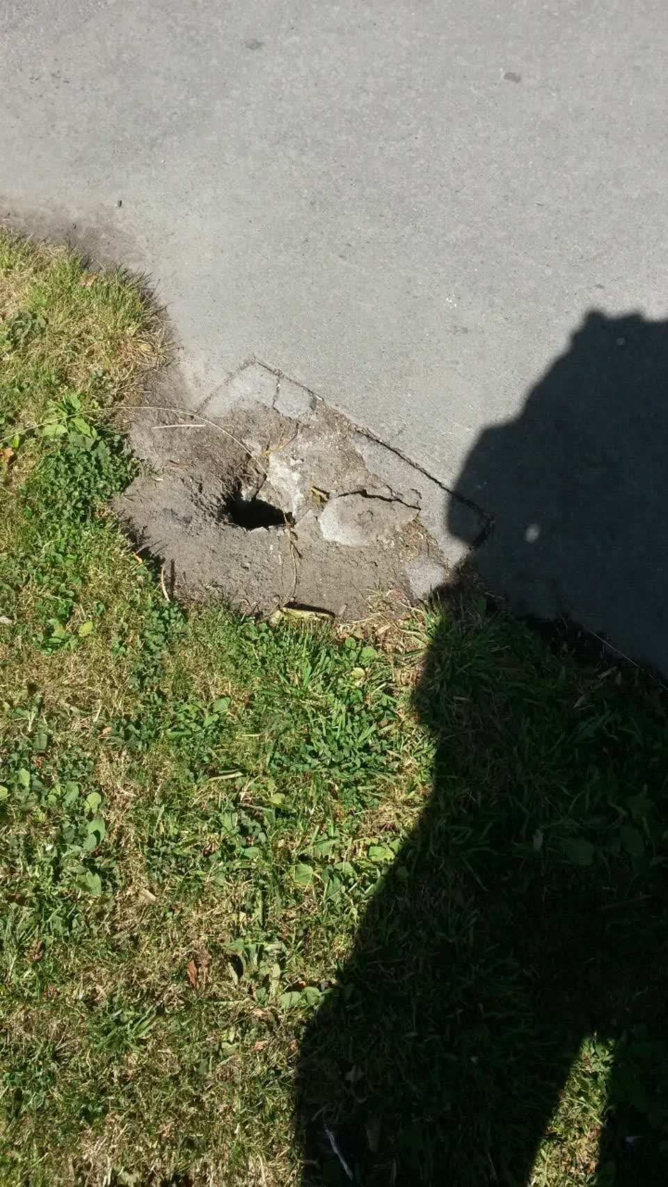 The photograph attached to this parks report