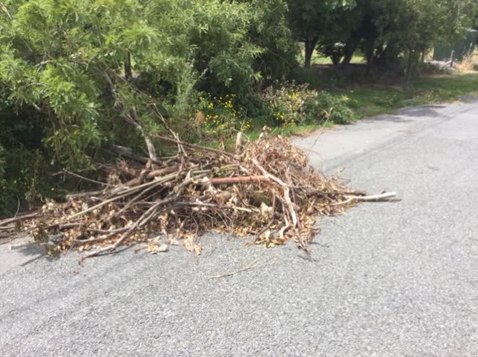 The photograph attached to this rubbish/recycling report