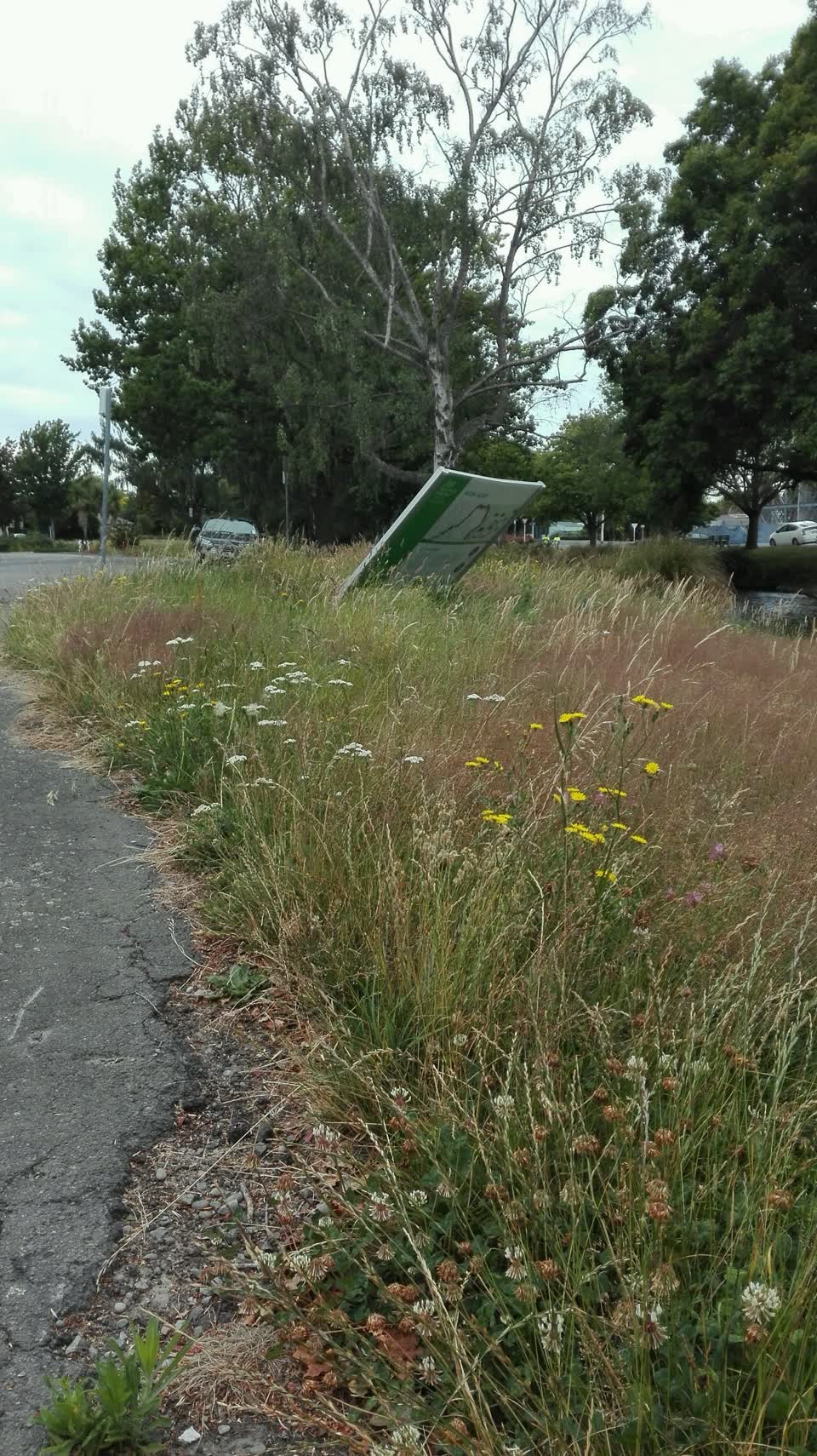 The photograph attached to this parks report
