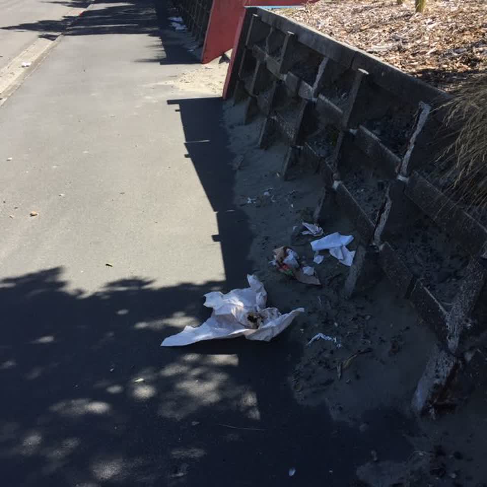 The photograph attached to this rubbish/recycling report