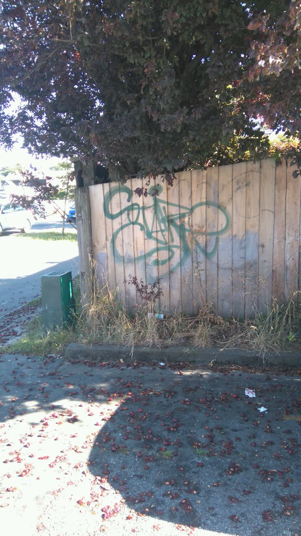 The photograph attached to this graffiti report