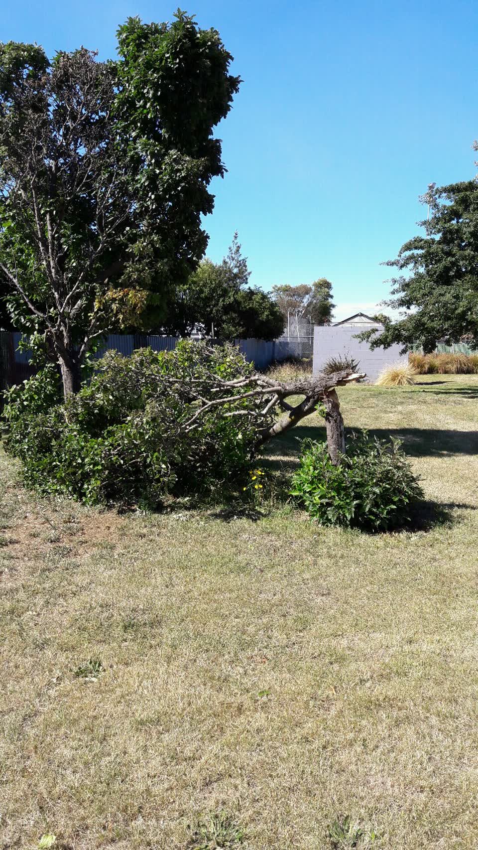 The photograph attached to this parks report