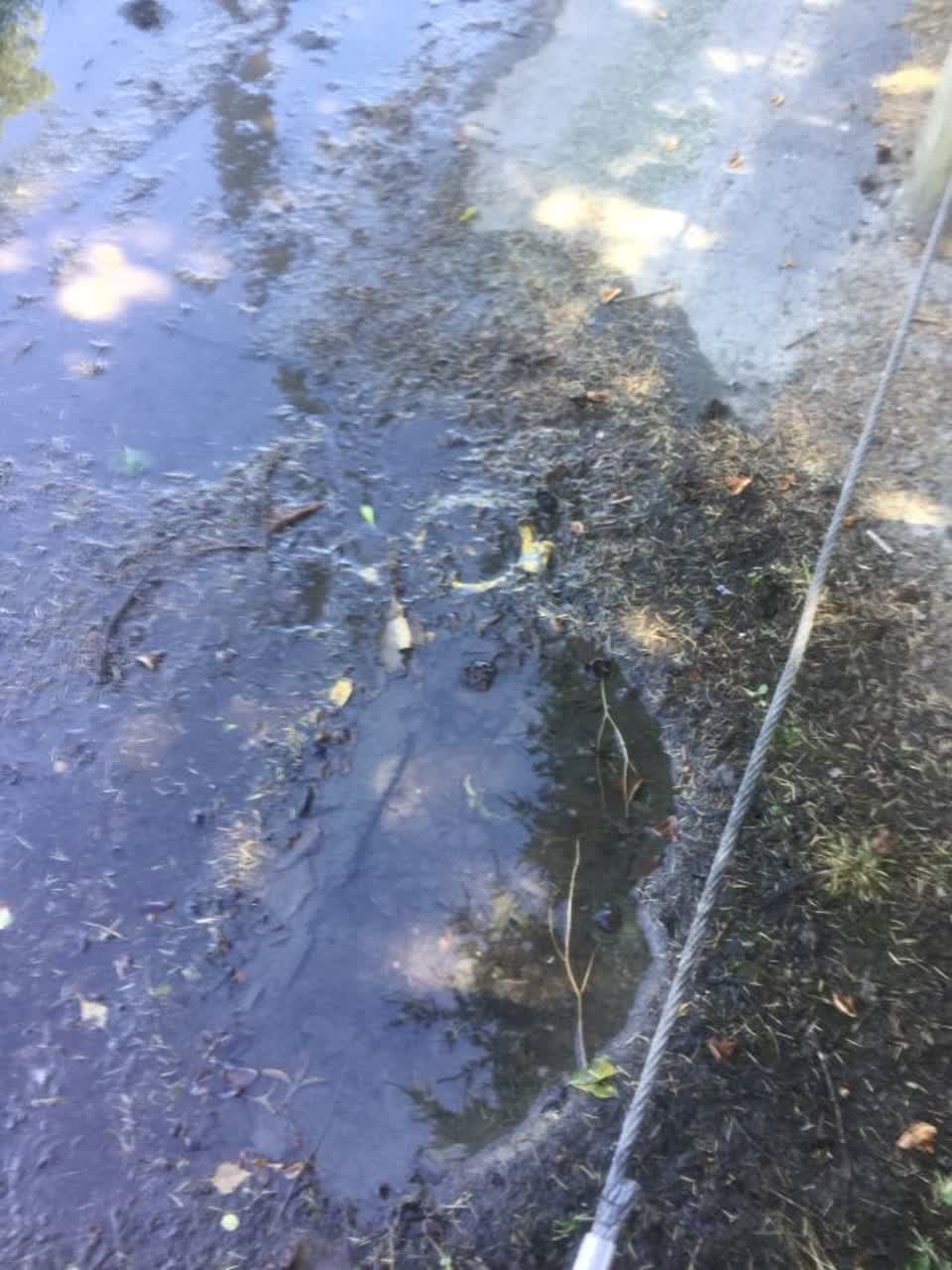 The photograph attached to this wastewater/stormwater report