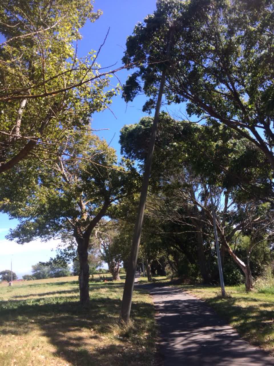 The photograph attached to this parks report
