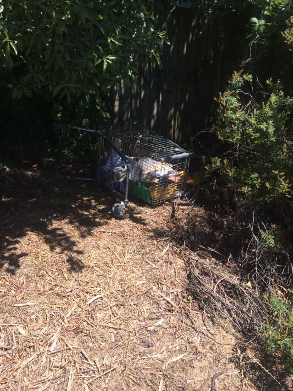 The photograph attached to this parks report