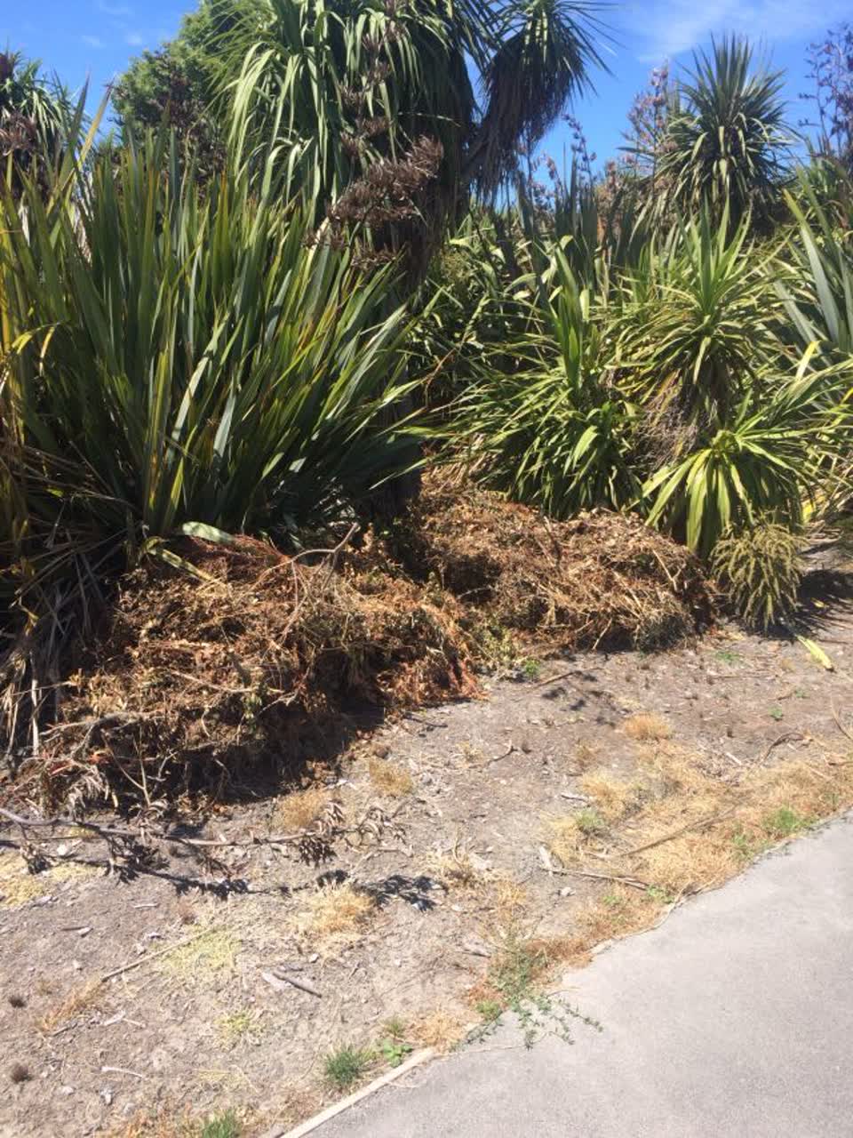 The photograph attached to this parks report