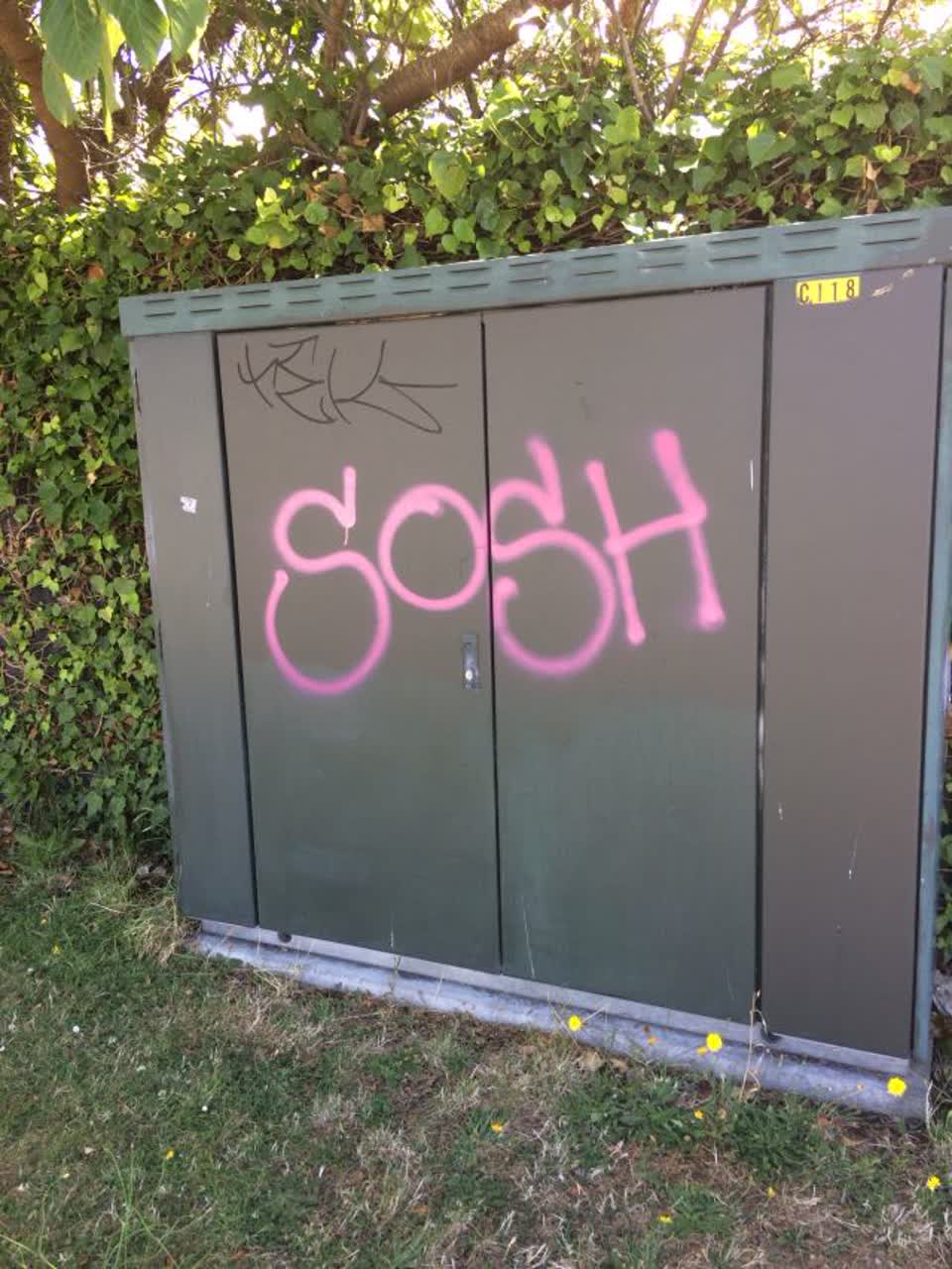 The photograph attached to this graffiti report
