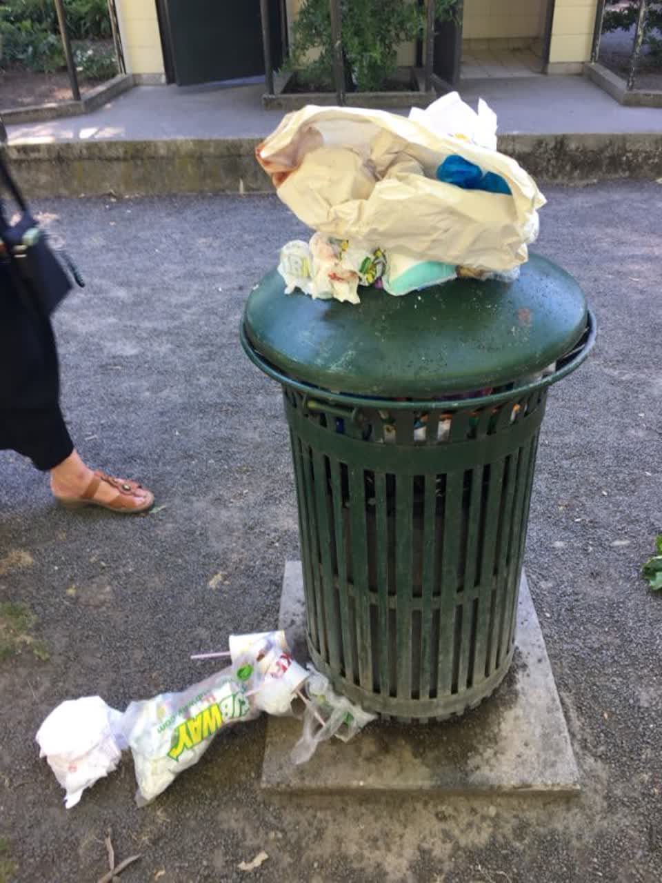 The photograph attached to this rubbish/recycling report