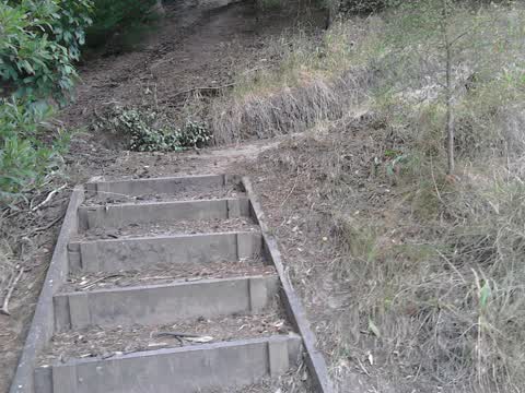Parks, a report photo
