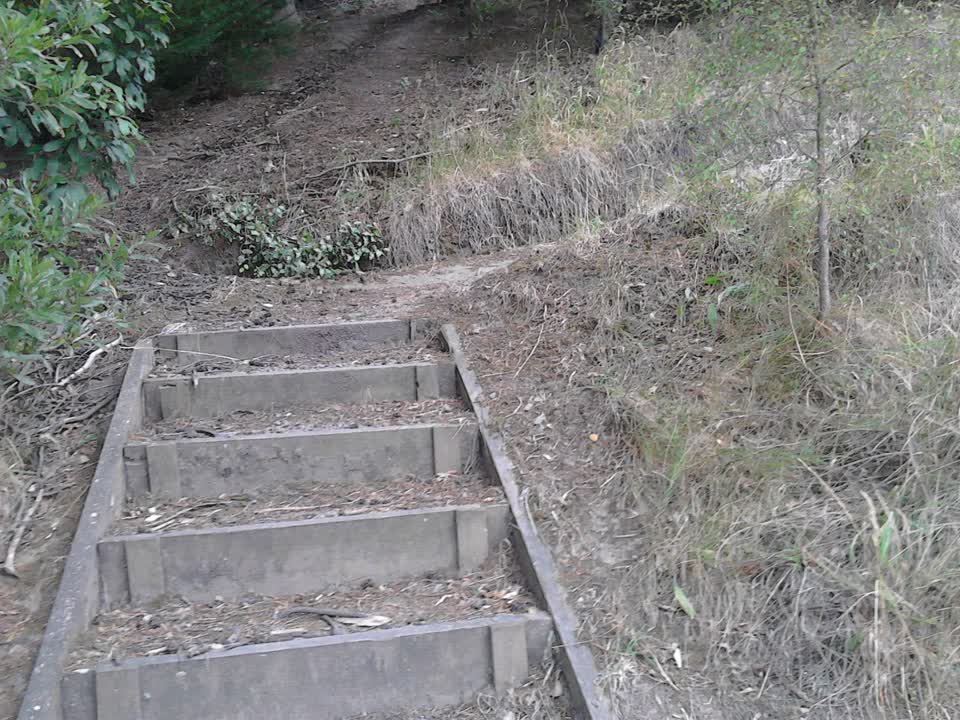 The photograph attached to this parks report