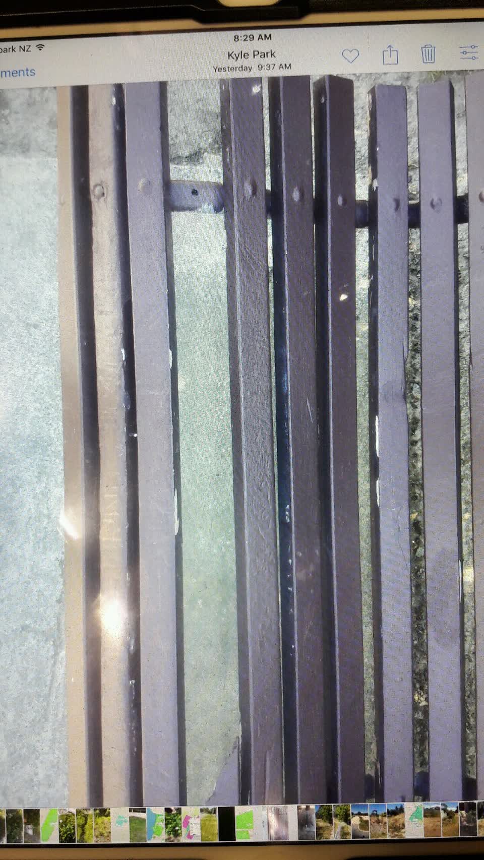 The photograph attached to this parks report
