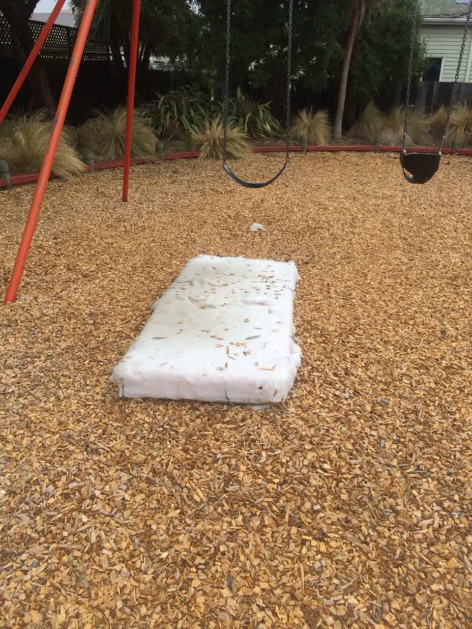 The photograph attached to this parks report
