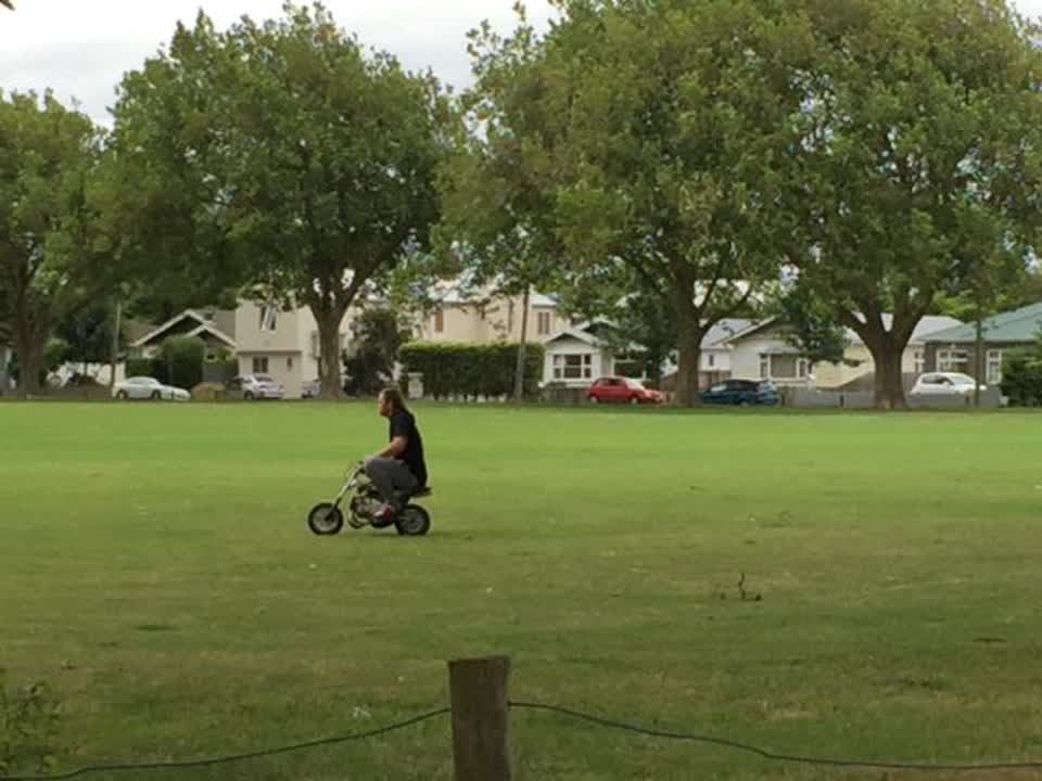 The photograph attached to this parks report