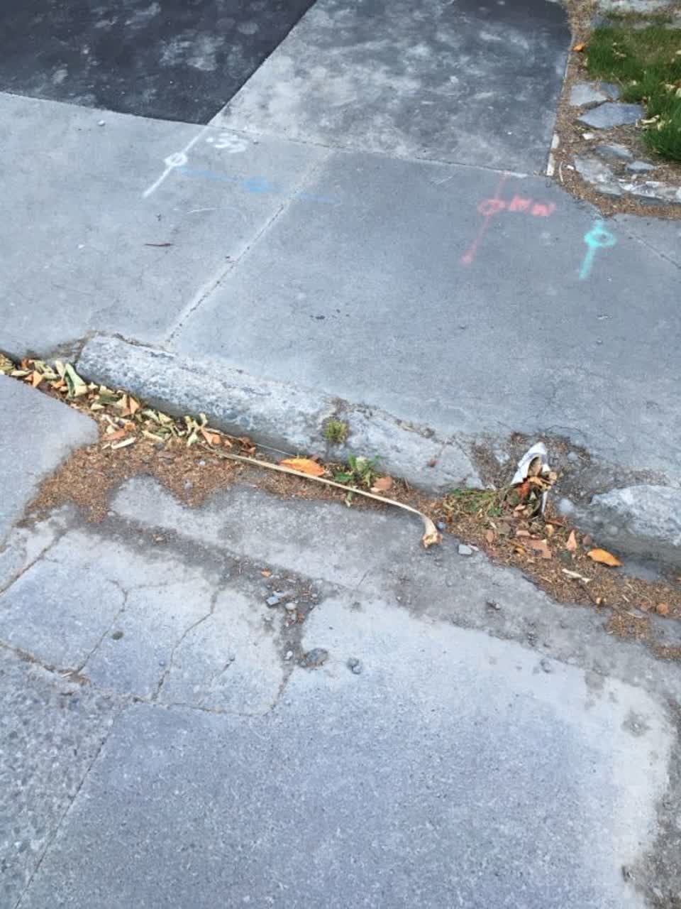 The photograph attached to this roading/streets report