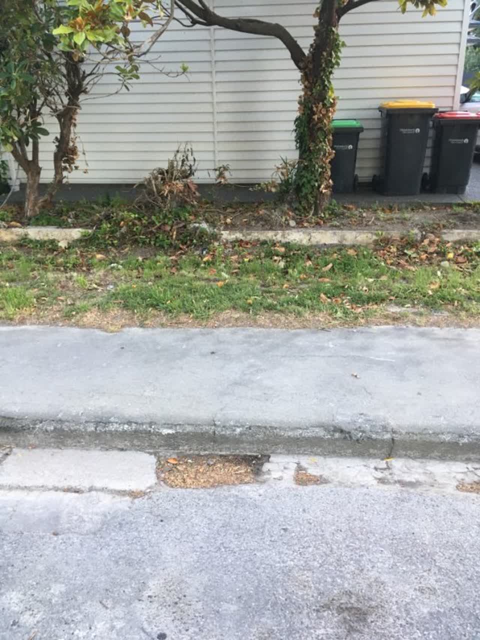The photograph attached to this roading/streets report